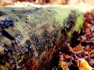 Máy bơm lốp ô tô Total