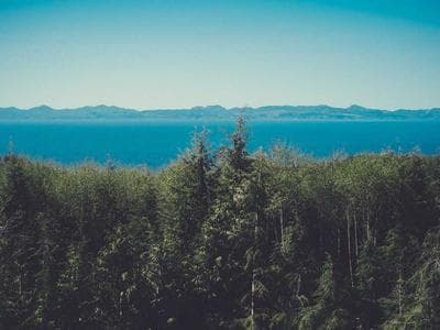 Máy hàn điện Total TW-1152